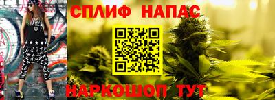 прущие грибы Чебоксары