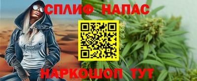 прущие грибы Чебоксары