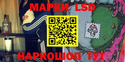 прущие грибы Чебоксары