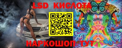 прущие грибы Чебоксары