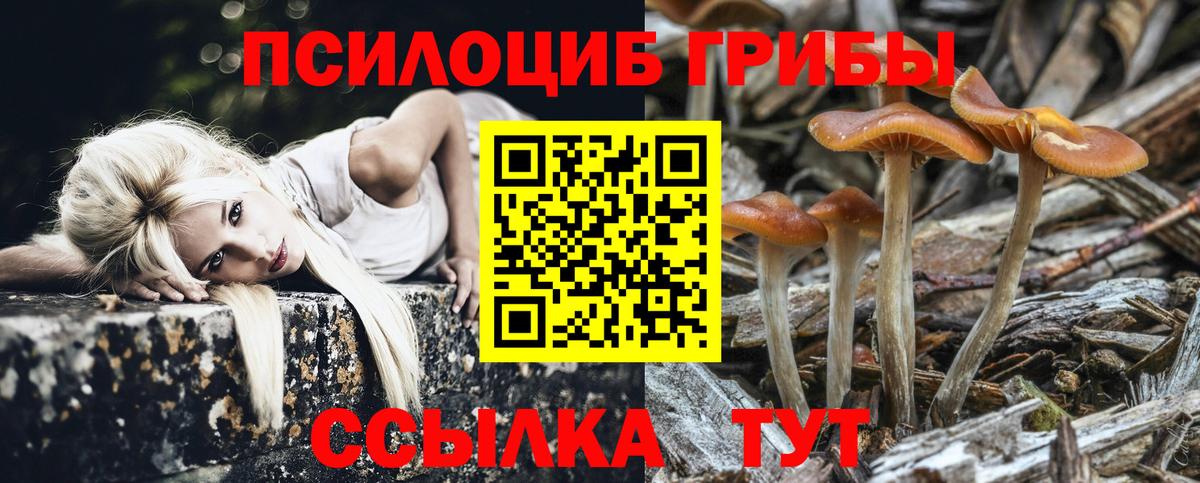 Конаково  купить  цена  Вход с VPN  Псилоцибиновые грибы мицелий 